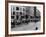 A Herd of Cattle is Driven Along a Paris Streen-null-Framed Photographic Print