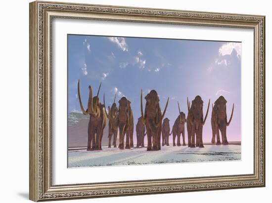 A Herd of Columbian Mammoths Migrate to a Warmer Climate-Stocktrek Images-Framed Art Print