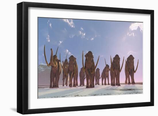 A Herd of Columbian Mammoths Migrate to a Warmer Climate-Stocktrek Images-Framed Art Print