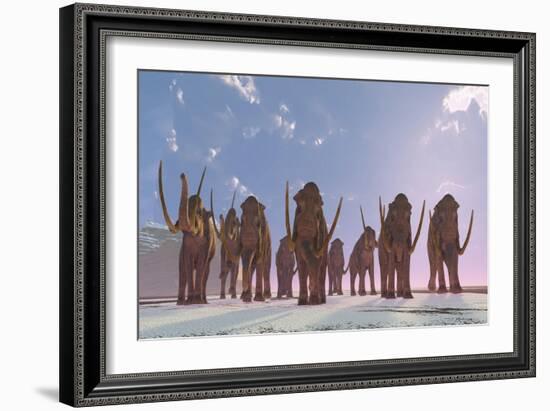 A Herd of Columbian Mammoths Migrate to a Warmer Climate-Stocktrek Images-Framed Art Print