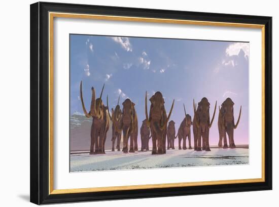 A Herd of Columbian Mammoths Migrate to a Warmer Climate-Stocktrek Images-Framed Art Print