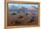 A Herd of Dead Centrosaurus Dinosaurs Killed by a Flash Flood-null-Framed Stretched Canvas