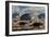 A Herd of Dinosaurs Walk Past a Flying Saucer Lodged into the Ground-null-Framed Art Print