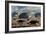 A Herd of Dinosaurs Walk Past a Flying Saucer Lodged into the Ground-null-Framed Premium Giclee Print