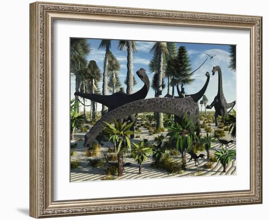 A Herd of Diplodocus Dinosaurs Feeding on Plants-Stocktrek Images-Framed Photographic Print