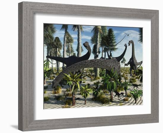 A Herd of Diplodocus Dinosaurs Feeding on Plants-Stocktrek Images-Framed Photographic Print