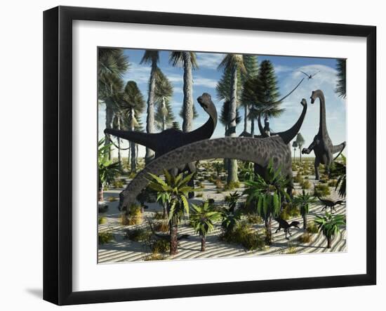 A Herd of Diplodocus Dinosaurs Feeding on Plants-Stocktrek Images-Framed Photographic Print