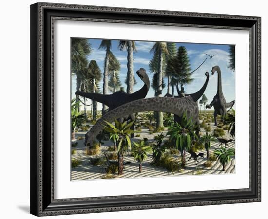 A Herd of Diplodocus Dinosaurs Feeding on Plants-Stocktrek Images-Framed Photographic Print