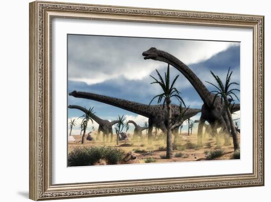 A Herd of Diplodocus Dinosaurs Walking in a Desert Landscape-Stocktrek Images-Framed Art Print