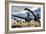 A Herd of Diplodocus Dinosaurs Walking in a Desert Landscape-Stocktrek Images-Framed Art Print