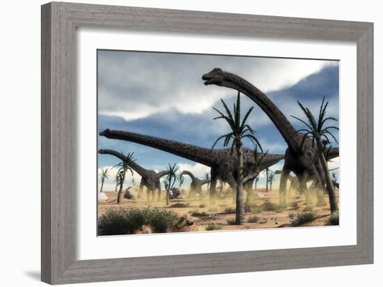 A Herd of Diplodocus Dinosaurs Walking in a Desert Landscape-Stocktrek Images-Framed Art Print