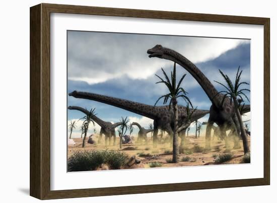 A Herd of Diplodocus Dinosaurs Walking in a Desert Landscape-Stocktrek Images-Framed Art Print