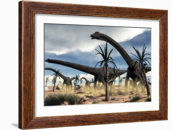 A Herd of Diplodocus Dinosaurs Walking in a Desert Landscape-Stocktrek Images-Framed Art Print