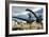 A Herd of Diplodocus Dinosaurs Walking in a Desert Landscape-Stocktrek Images-Framed Art Print