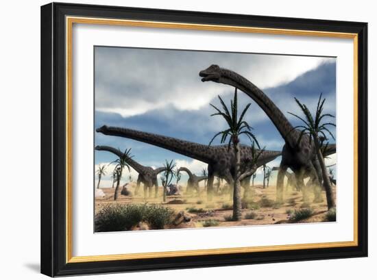 A Herd of Diplodocus Dinosaurs Walking in a Desert Landscape-Stocktrek Images-Framed Art Print