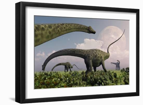 A Herd of Diplodocus Sauropod Dinosaurs Grazing-null-Framed Art Print