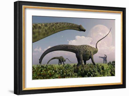 A Herd of Diplodocus Sauropod Dinosaurs Grazing-null-Framed Art Print