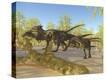 Stretched Canvas Print