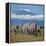 A Herd of Elephants with Mount Kilimanjaro in the Background-Nigel Pavitt-Framed Premier Image Canvas