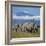 A Herd of Elephants with Mount Kilimanjaro in the Background-Nigel Pavitt-Framed Photographic Print