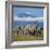 A Herd of Elephants with Mount Kilimanjaro in the Background-Nigel Pavitt-Framed Photographic Print