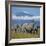 A Herd of Elephants with Mount Kilimanjaro in the Background-Nigel Pavitt-Framed Photographic Print