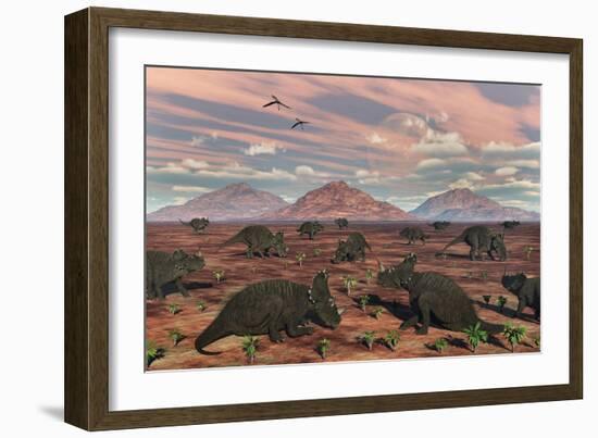 A Herd of Herbivorous Centrosaurus Dinosaurs-null-Framed Art Print