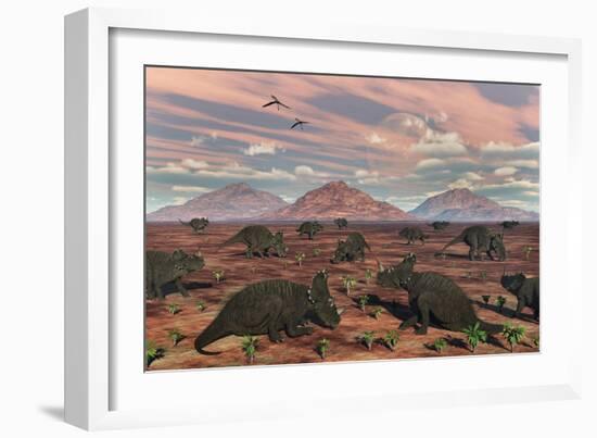 A Herd of Herbivorous Centrosaurus Dinosaurs-null-Framed Art Print