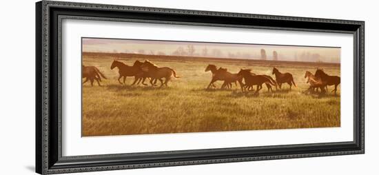 A Herd of Horses at Sunrise.-Tanya Yurkovska-Framed Photographic Print