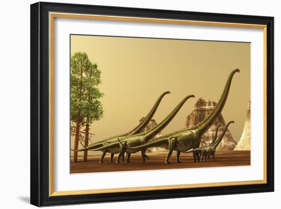 A Herd of Mamenchisaurus Dinosaurs Migrate to Better Feeding Ground-null-Framed Art Print