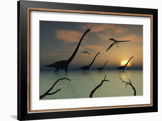 A Herd of Omeisaurus Dinosaurs Walking Through Shallow Waters-Stocktrek Images-Framed Art Print