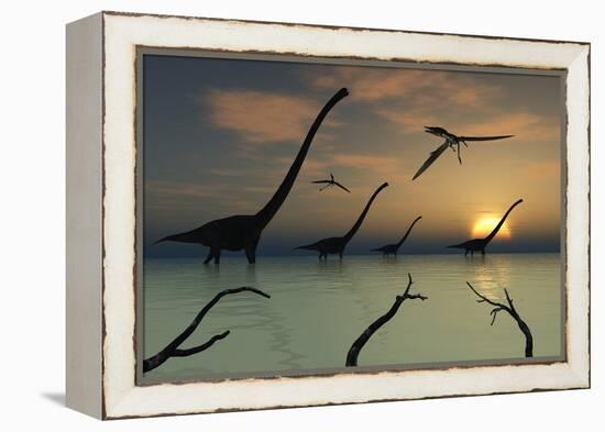 A Herd of Omeisaurus Dinosaurs Walking Through Shallow Waters-Stocktrek Images-Framed Stretched Canvas