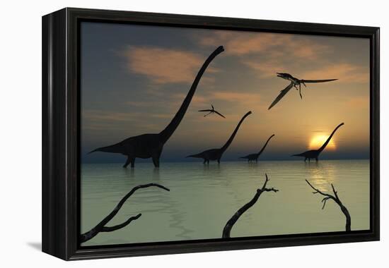 A Herd of Omeisaurus Dinosaurs Walking Through Shallow Waters-Stocktrek Images-Framed Stretched Canvas