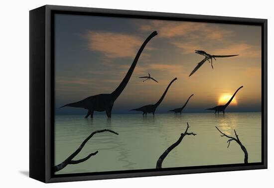 A Herd of Omeisaurus Dinosaurs Walking Through Shallow Waters-Stocktrek Images-Framed Stretched Canvas