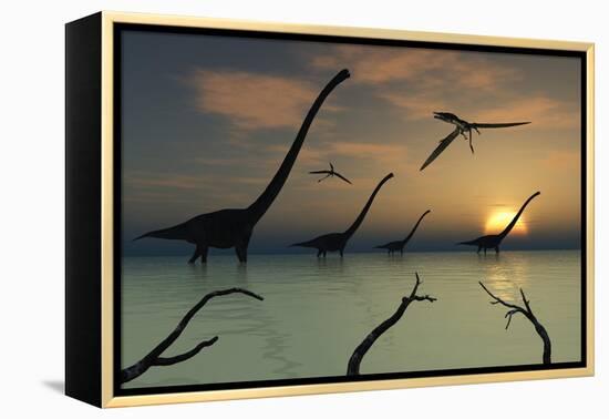 A Herd of Omeisaurus Dinosaurs Walking Through Shallow Waters-Stocktrek Images-Framed Stretched Canvas