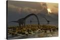 Stretched Canvas Print