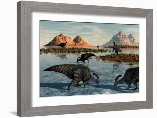 A Herd of Parasaurolophus Duckbill Dinosaurs Grazing-null-Framed Art Print