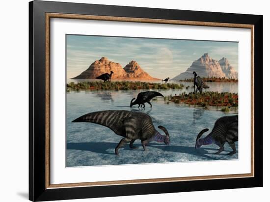 A Herd of Parasaurolophus Duckbill Dinosaurs Grazing-null-Framed Art Print