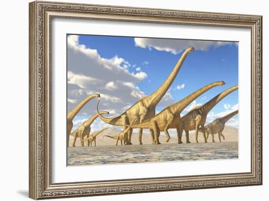 A Herd of Sauroposeidon Dinosaurs-Stocktrek Images-Framed Art Print