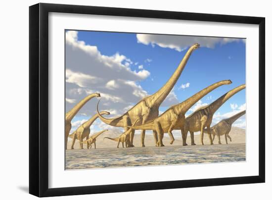 A Herd of Sauroposeidon Dinosaurs-Stocktrek Images-Framed Art Print