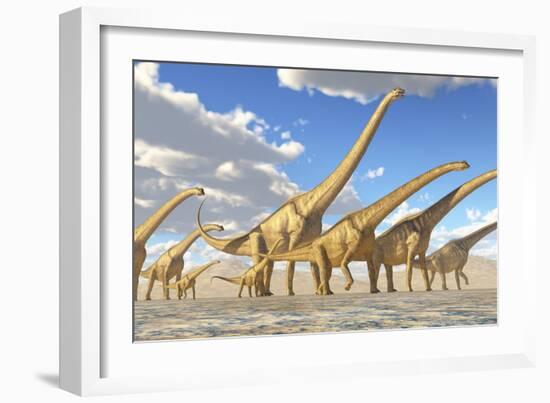 A Herd of Sauroposeidon Dinosaurs-Stocktrek Images-Framed Art Print