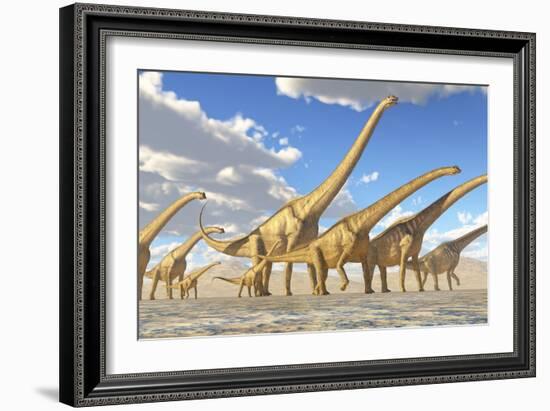 A Herd of Sauroposeidon Dinosaurs-Stocktrek Images-Framed Art Print