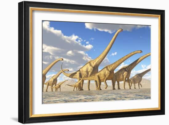 A Herd of Sauroposeidon Dinosaurs-Stocktrek Images-Framed Art Print