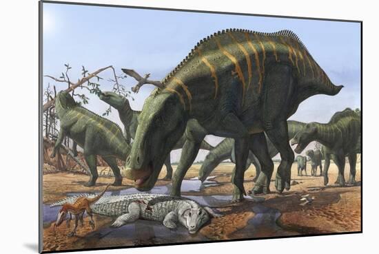A Herd of Shantungosaurus Dinosaurs Scavenging for Food-null-Mounted Art Print