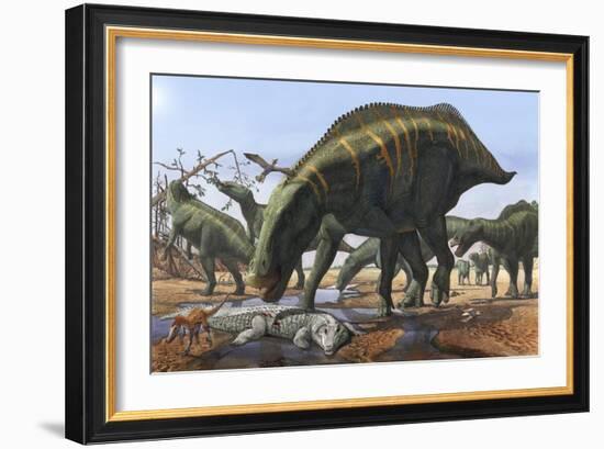 A Herd of Shantungosaurus Dinosaurs Scavenging for Food-null-Framed Art Print