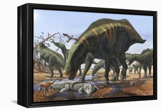 A Herd of Shantungosaurus Dinosaurs Scavenging for Food-null-Framed Stretched Canvas