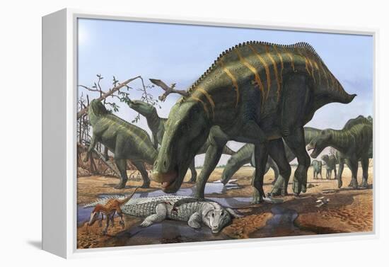 A Herd of Shantungosaurus Dinosaurs Scavenging for Food-null-Framed Stretched Canvas