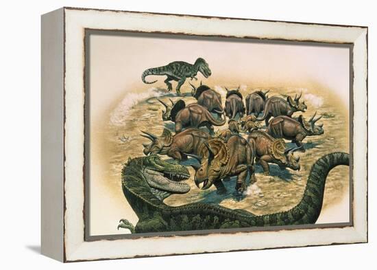 A Herd of Triceratops Defend their Territory Against a Pair of Tyrannosaurus Rex-null-Framed Stretched Canvas