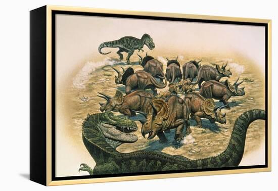 A Herd of Triceratops Defend their Territory Against a Pair of Tyrannosaurus Rex-null-Framed Stretched Canvas