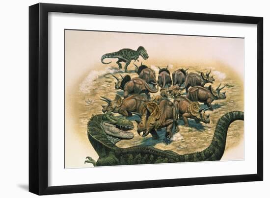 A Herd of Triceratops Defend their Territory Against a Pair of Tyrannosaurus Rex-null-Framed Premium Giclee Print